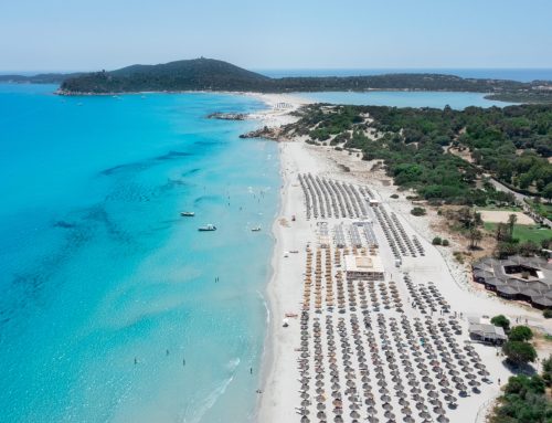 Aqua Alpha in ritiro in Sardegna con il nuotatore olimpico Matteo Restivo