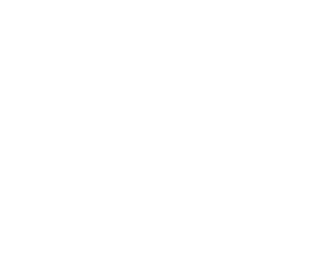 Arena Technical Sponsor